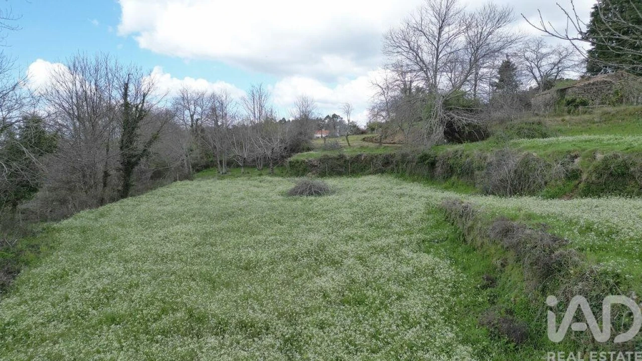 Terreno para Venda em Espinhal Foto 18