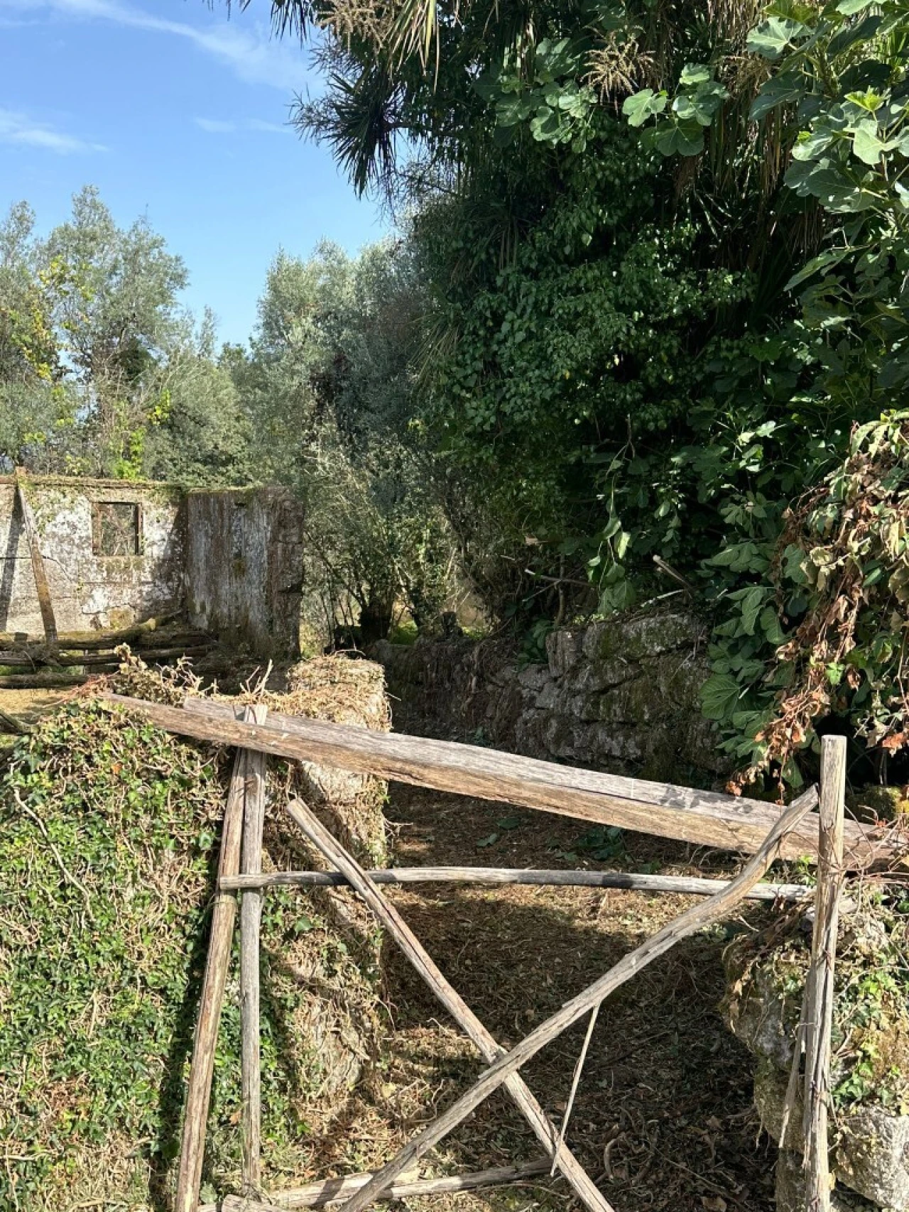 Quinta para Venda em Anissó e Soutelo Foto 27