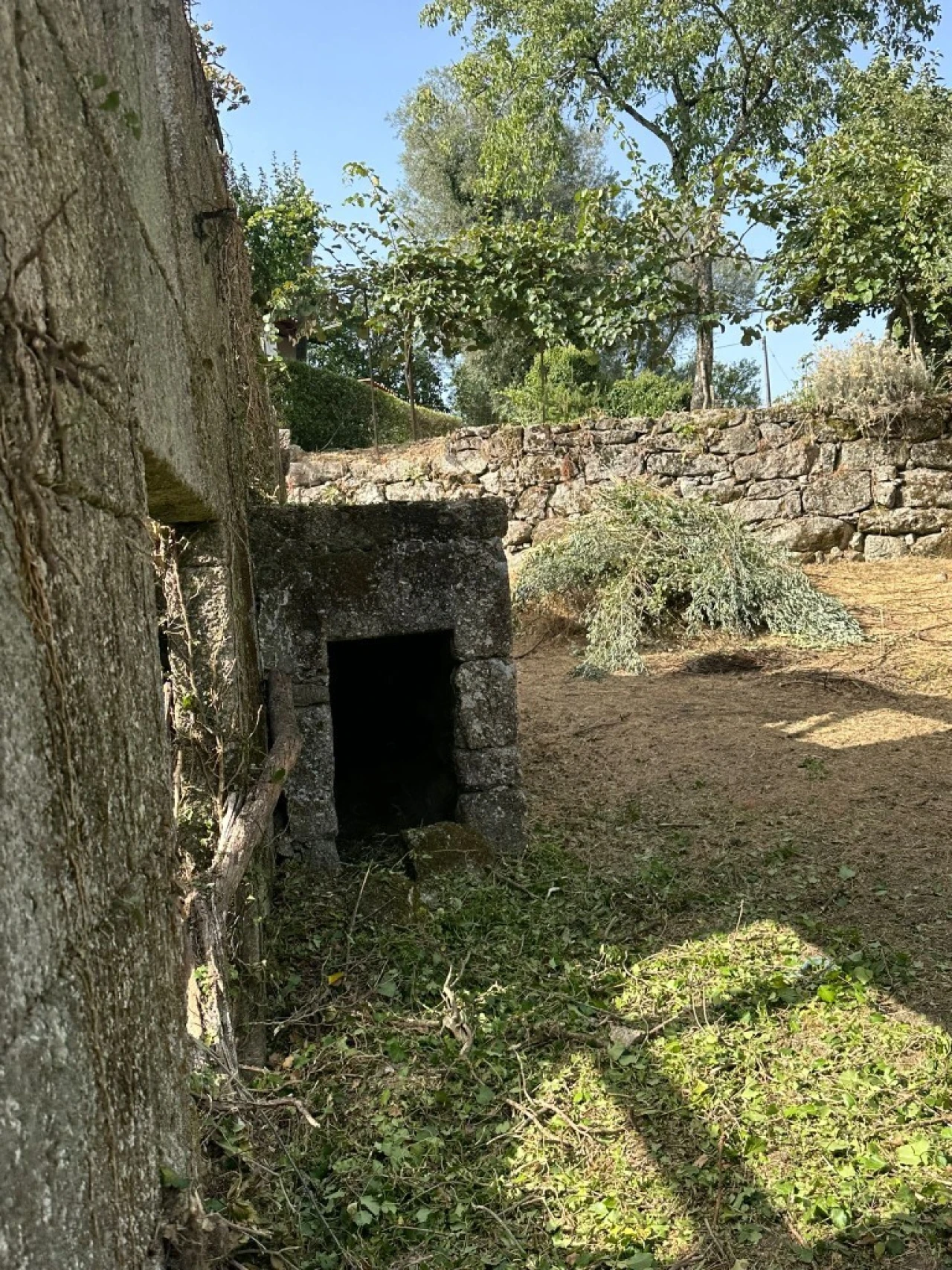 Quinta para Venda em Anissó e Soutelo Foto 13