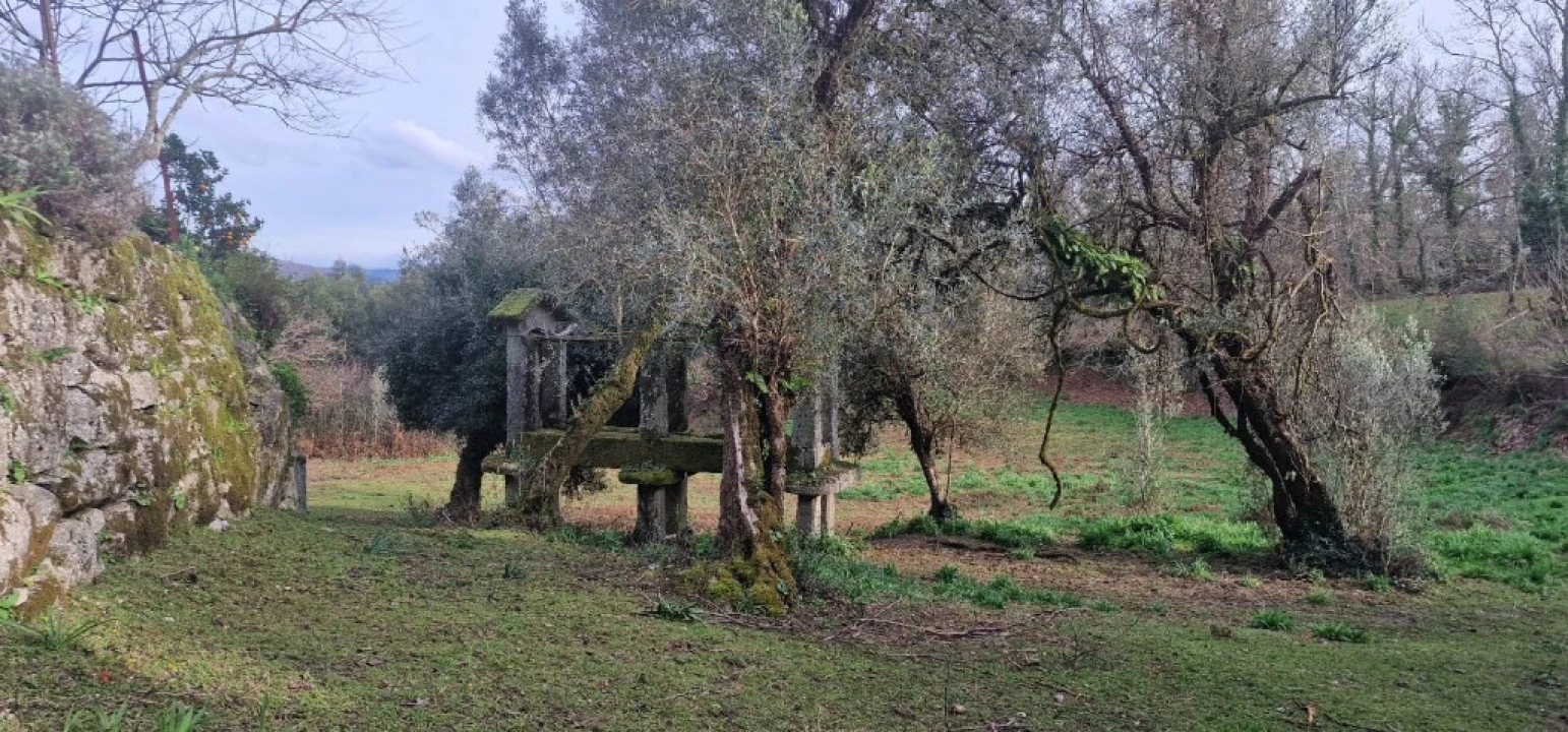 Quinta para Venda em Anissó e Soutelo Foto 11