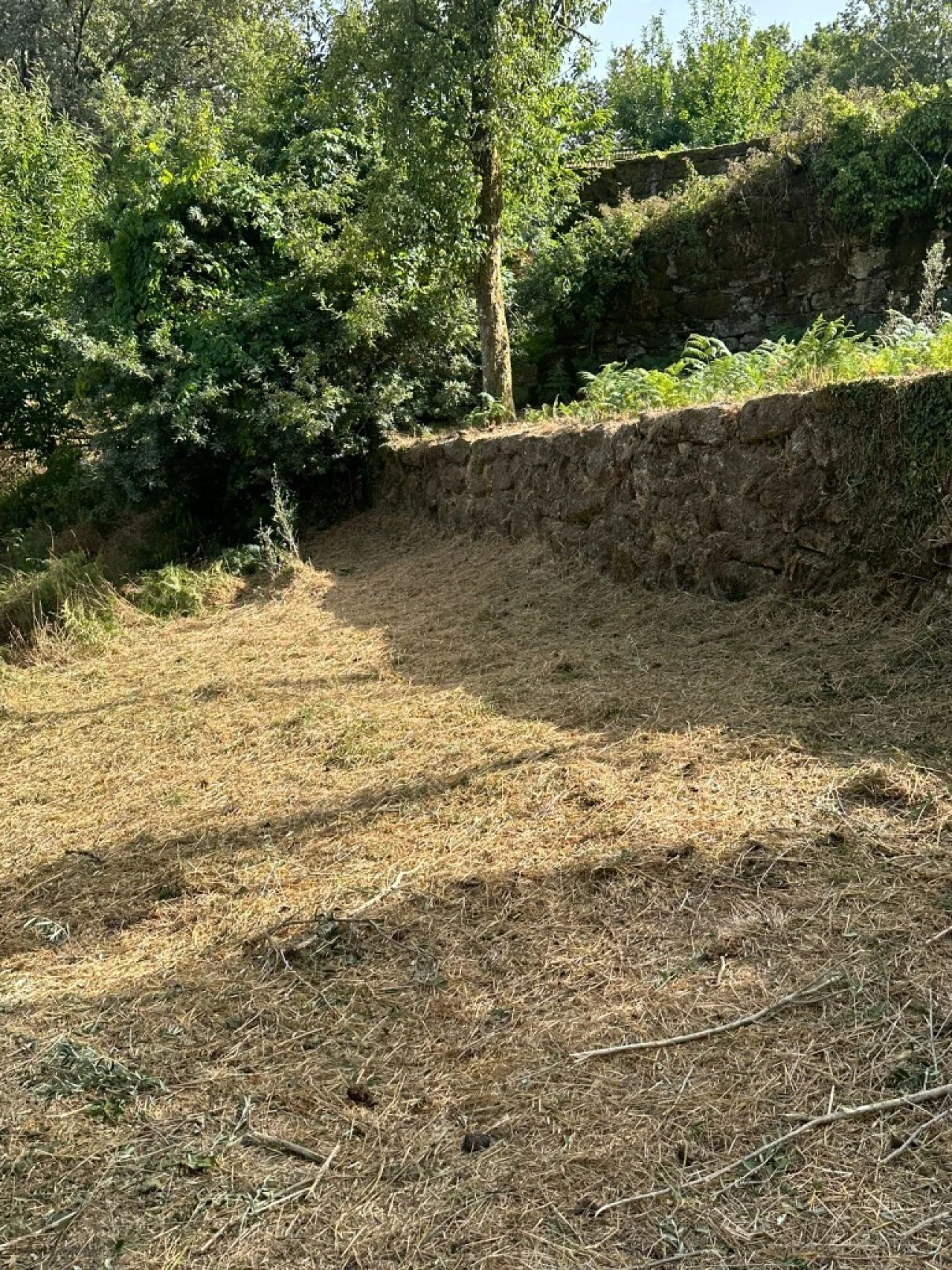 Quinta para Venda em Anissó e Soutelo Foto 21
