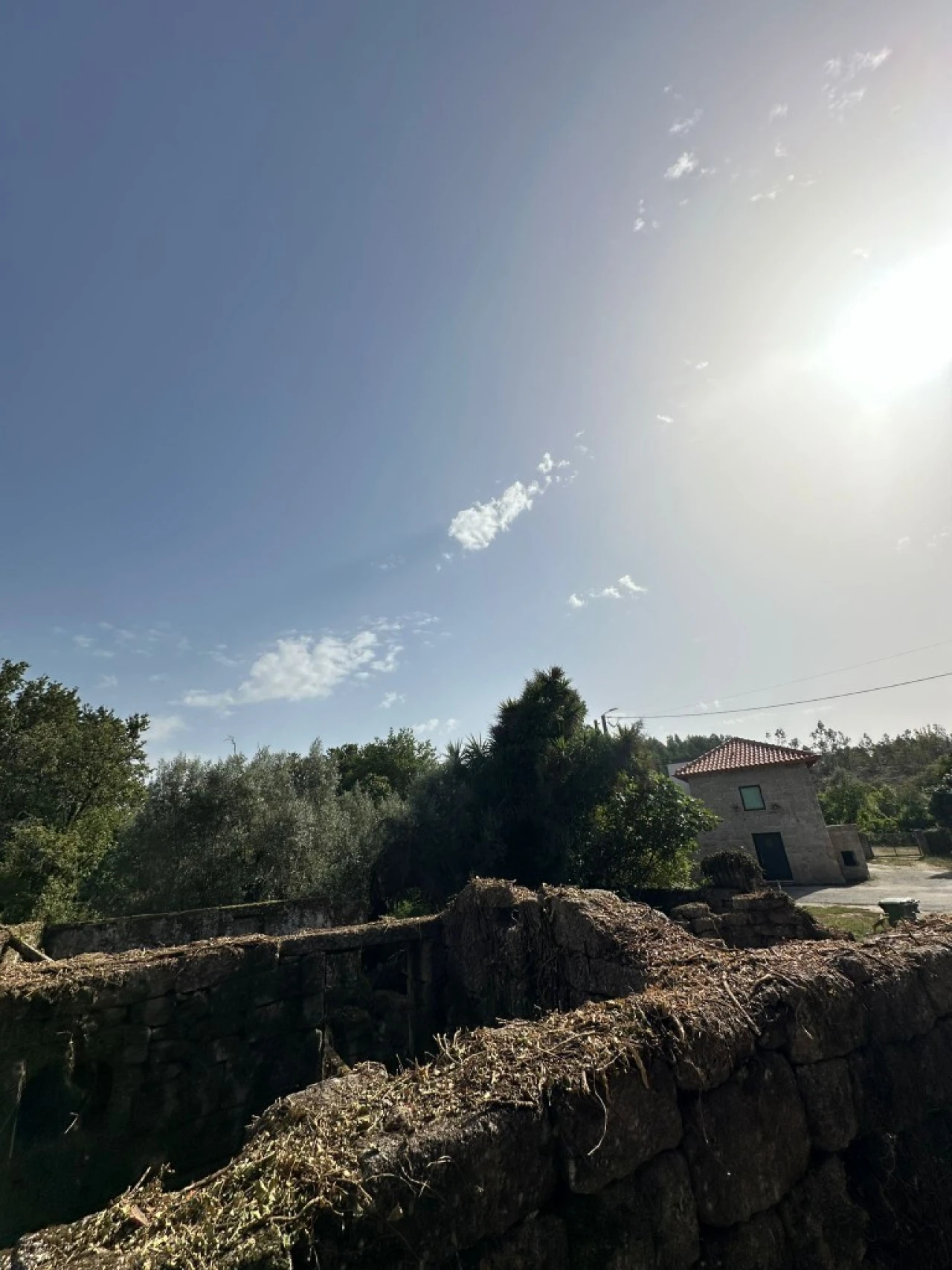 Quinta para Venda em Anissó e Soutelo Foto 29