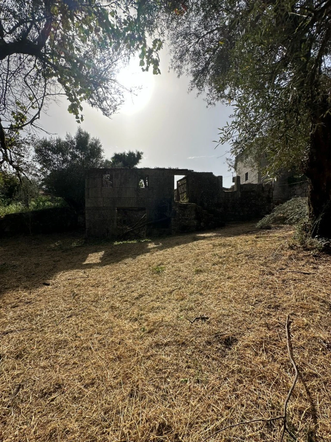 Quinta para Venda em Anissó e Soutelo Foto 18