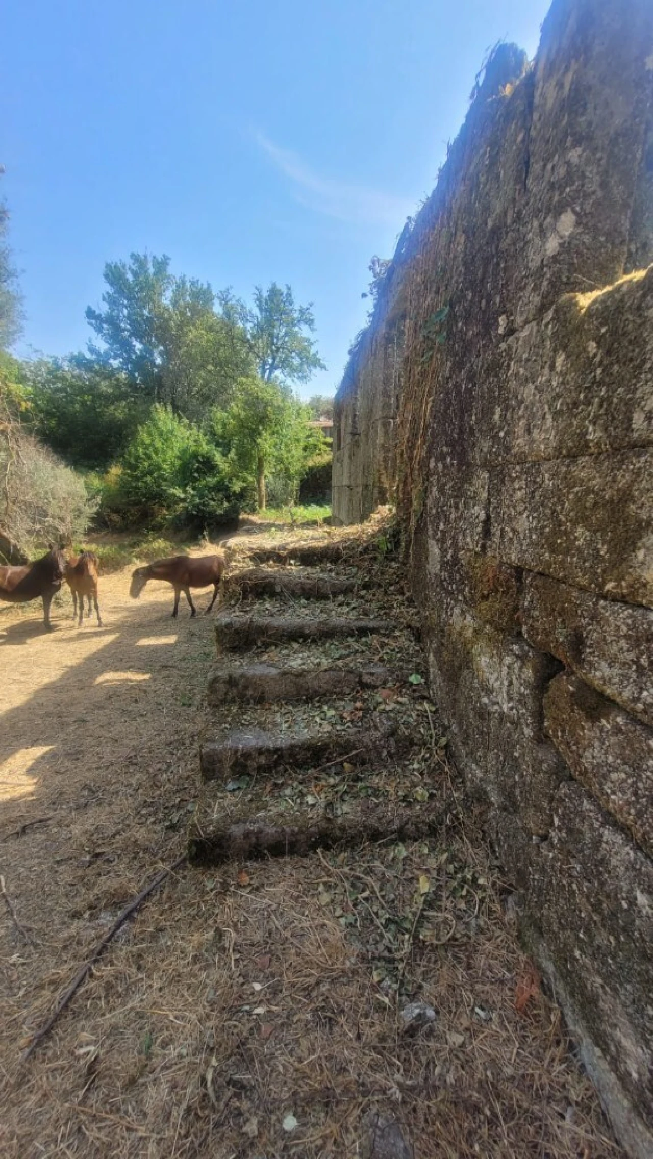 Quinta para Venda em Anissó e Soutelo Foto 4