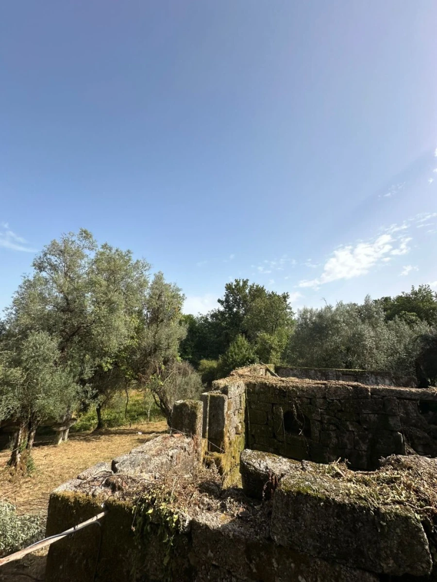 Quinta para Venda em Anissó e Soutelo Foto 25