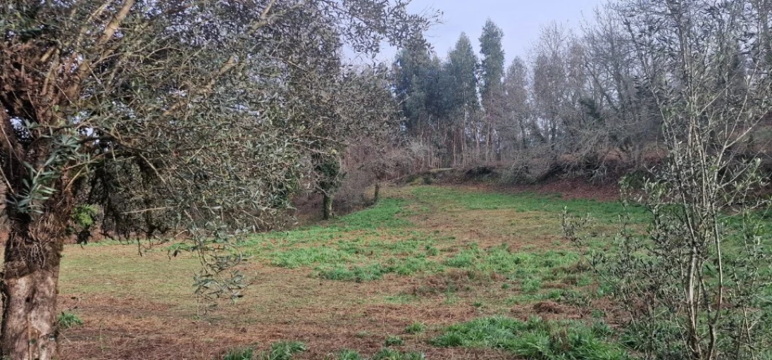 Quinta para Venda em Anissó e Soutelo Foto 17
