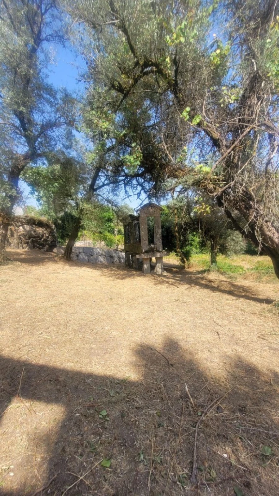 Quinta para Venda em Anissó e Soutelo Foto 34