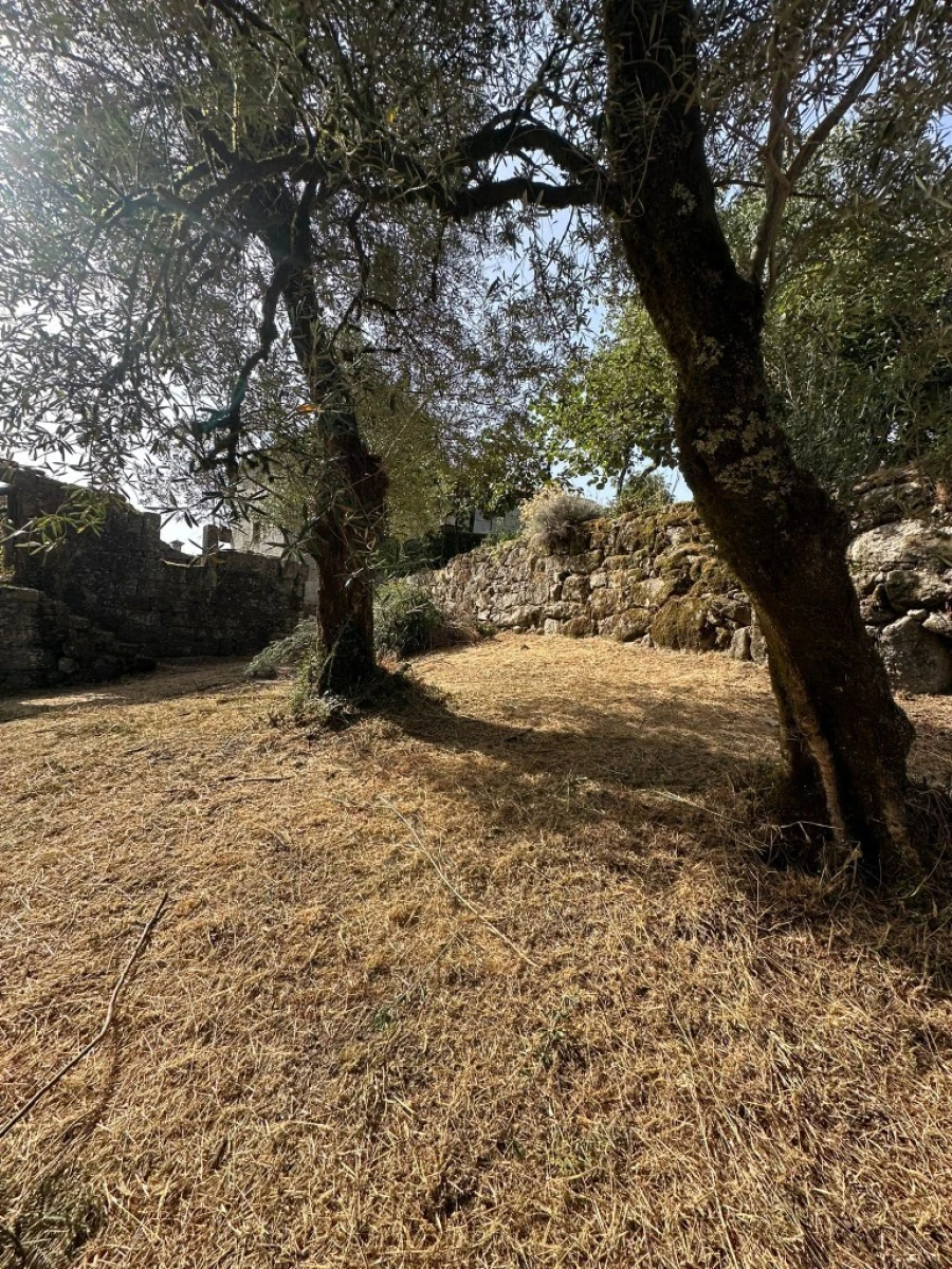 Quinta para Venda em Anissó e Soutelo Foto 19