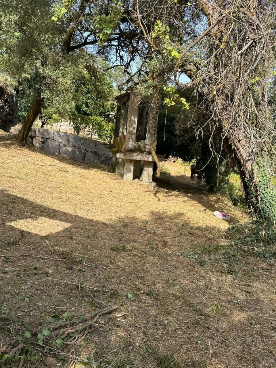 Quinta para Venda em Anissó e Soutelo Foto 10