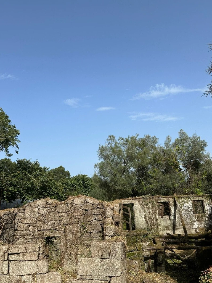 Quinta para Venda em Anissó e Soutelo Foto 30