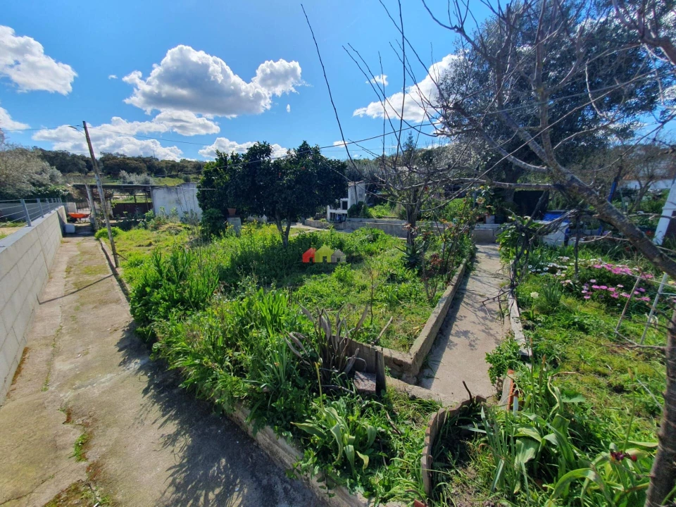 Moradia T2 para Venda em Gafanhoeira (São Pedro) e Sabugueiro Foto 10