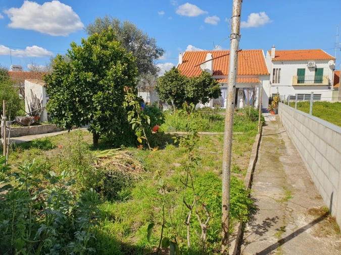 Moradia T2 para Venda em Gafanhoeira (São Pedro) e Sabugueiro Foto 11