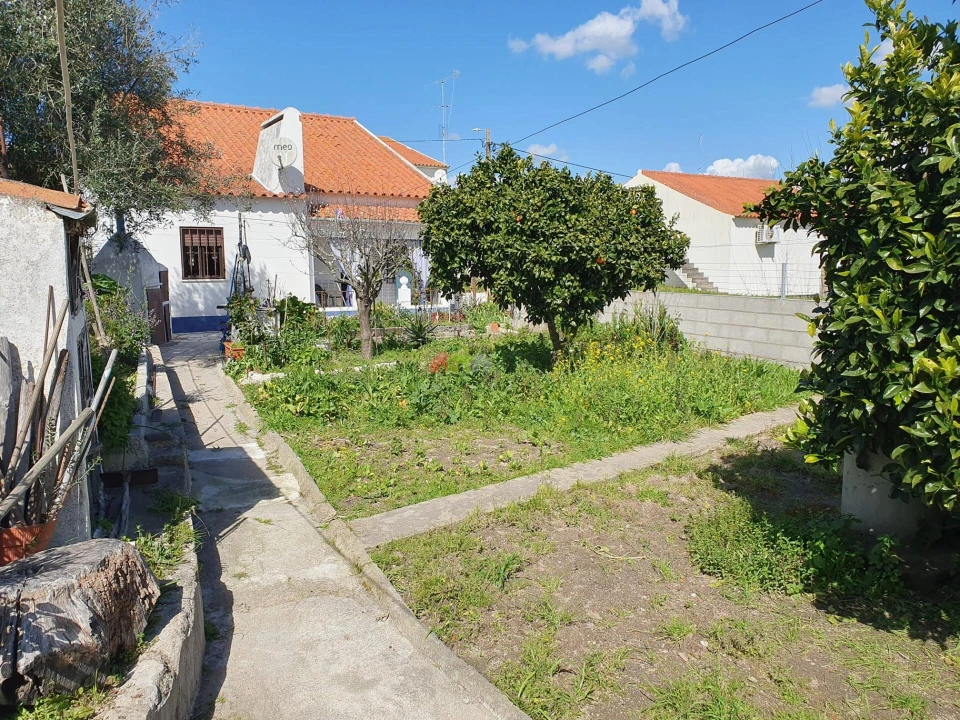 Moradia T2 para Venda em Gafanhoeira (São Pedro) e Sabugueiro Foto 9