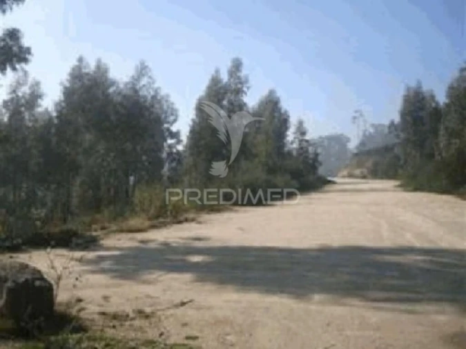 Terreno para Venda em Seroa Foto 3