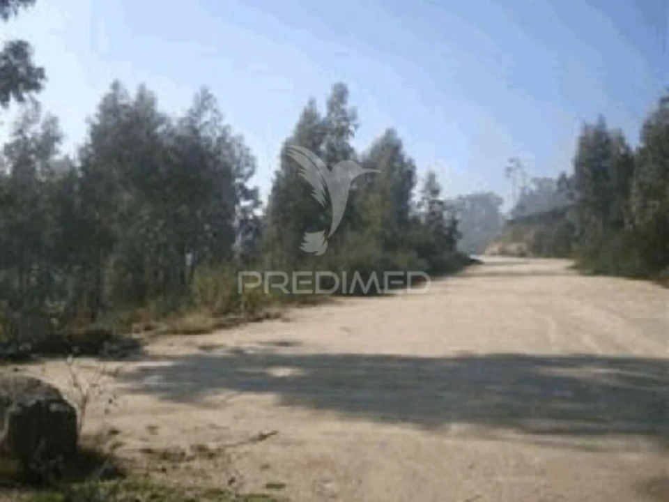 Terreno para Venda em Seroa Foto 3