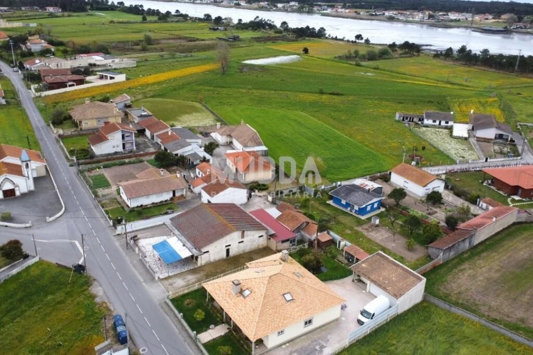 Negócio para Venda em Ovar, São João, Arada e São Vicente de Pereira Jusã Foto 34