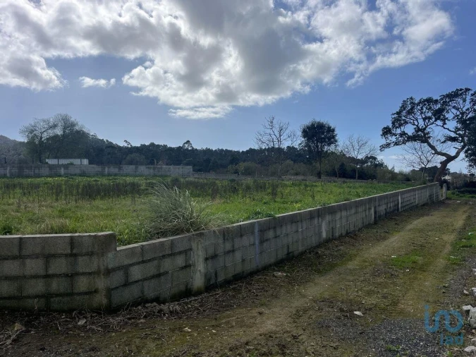 Terreno para Venda em Antas Foto 2