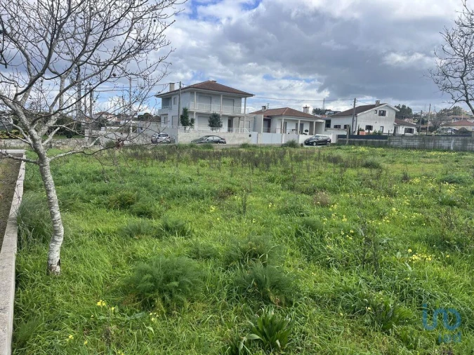 Terreno para Venda em Antas Foto 5