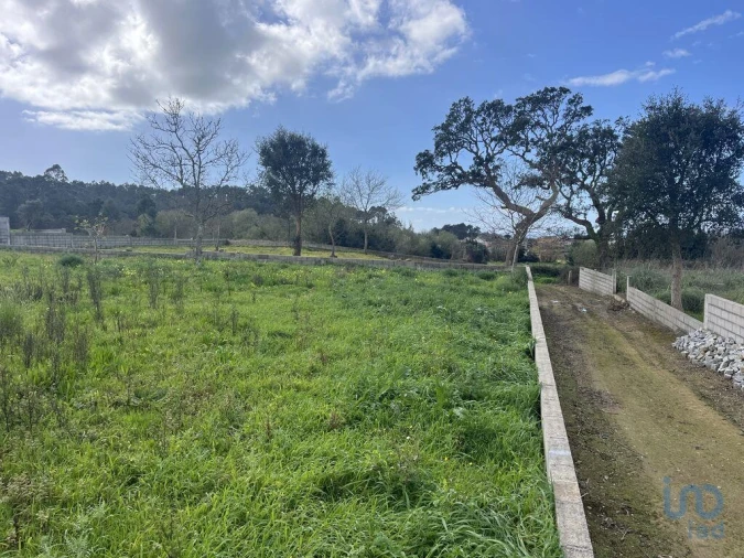 Terreno para Venda em Antas Foto 4