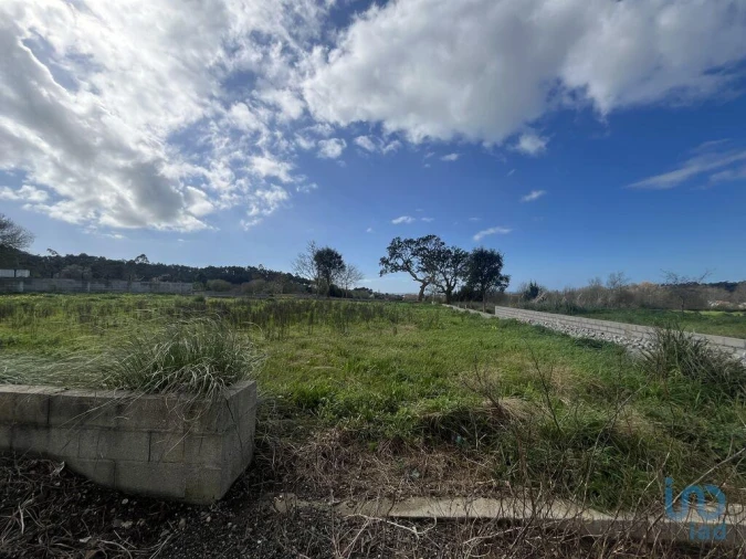 Terreno para Venda em Antas Foto 9