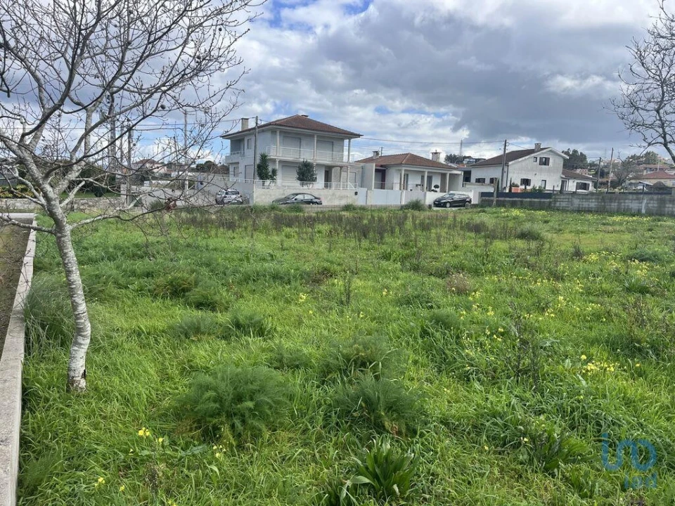 Terreno para Venda em Antas Foto 5
