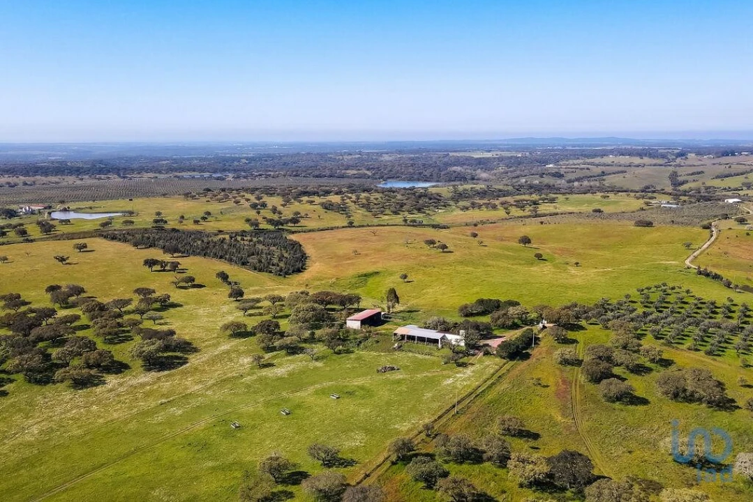 Moradia para Venda em Santiago do Escoural Foto 5