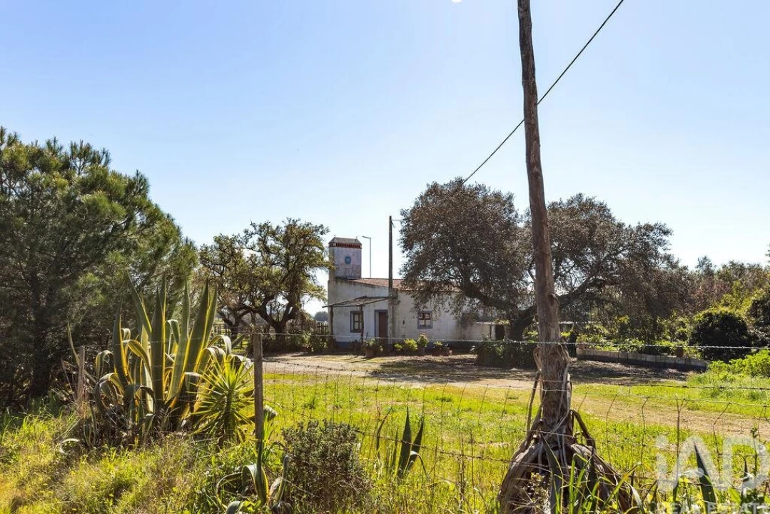 Moradia para Venda em Santiago do Escoural Foto 30