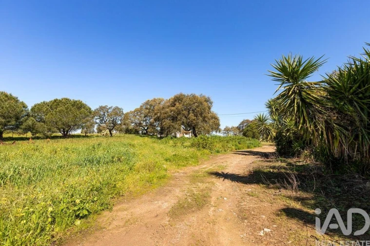 Moradia para Venda em Santiago do Escoural Foto 22