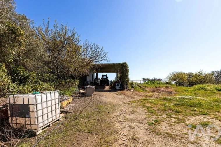 Moradia para Venda em Santiago do Escoural Foto 20