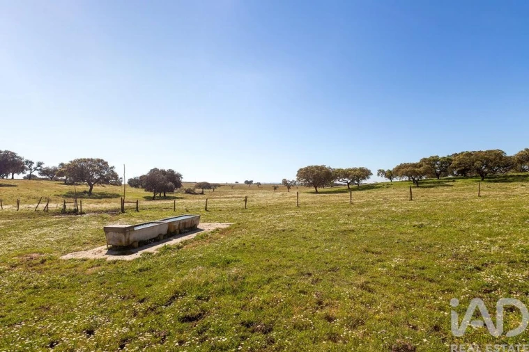 Moradia para Venda em Santiago do Escoural Foto 27