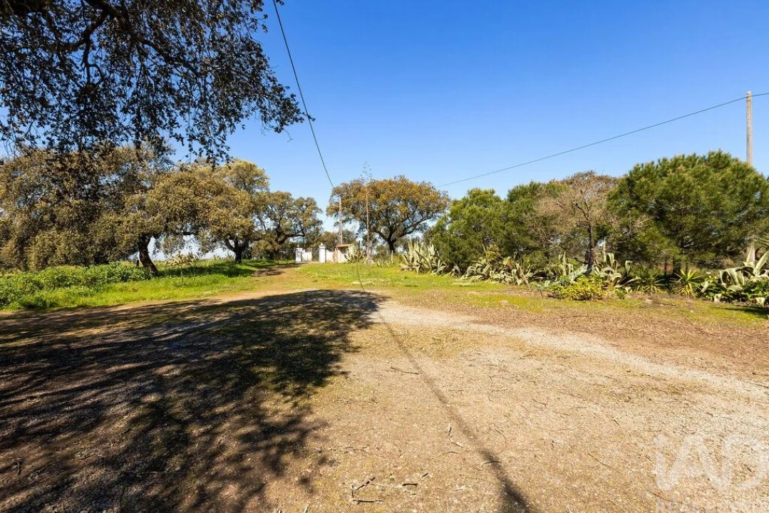 Moradia para Venda em Santiago do Escoural Foto 16