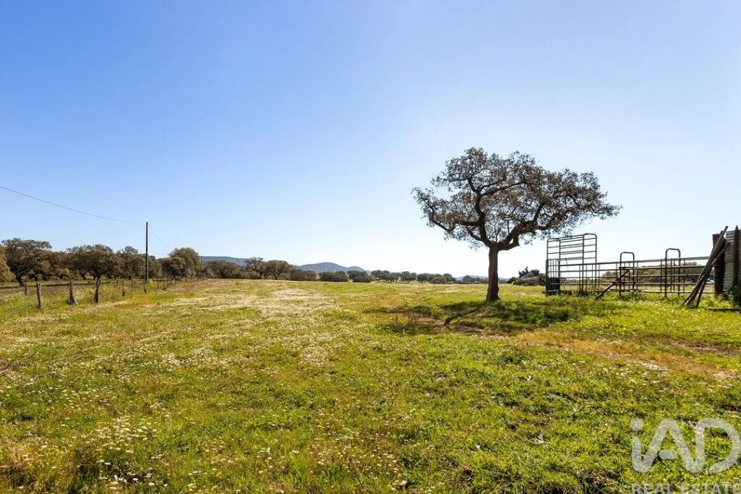 Moradia para Venda em Santiago do Escoural Foto 15