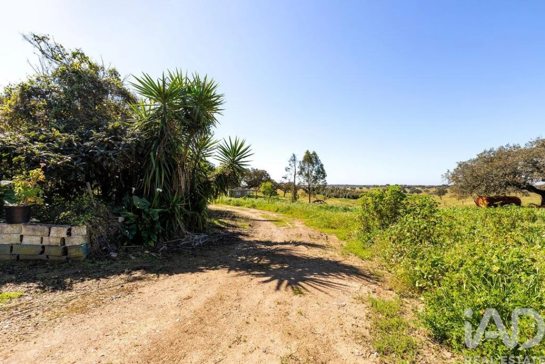 Moradia para Venda em Santiago do Escoural Foto 17