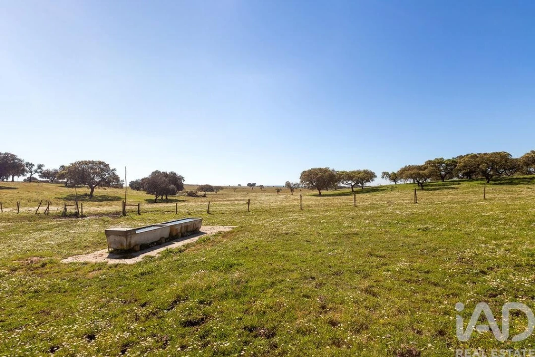 Moradia para Venda em Santiago do Escoural Foto 27