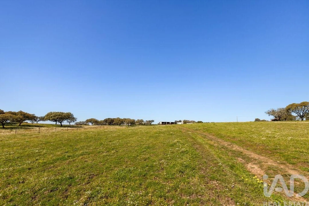 Moradia para Venda em Santiago do Escoural Foto 26