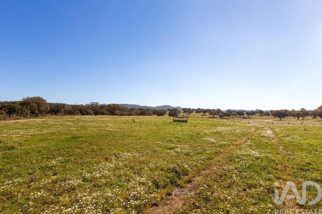 Moradia para Venda em Santiago do Escoural Foto 24