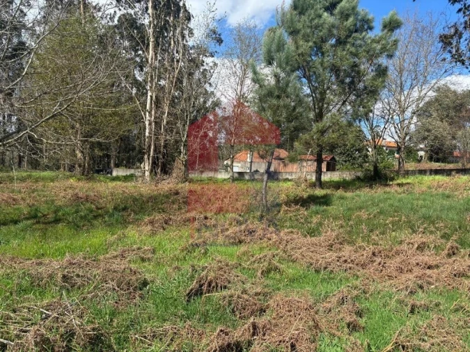 Terreno para Venda em Moure Foto 3