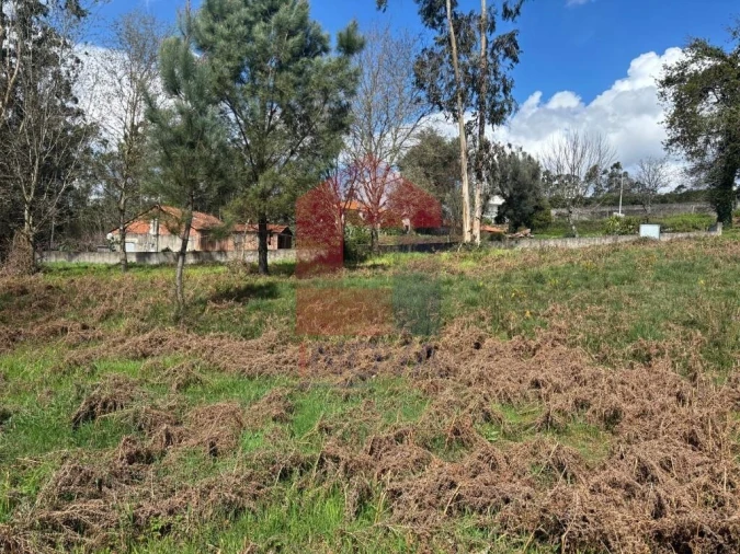 Terreno para Venda em Moure Foto 8