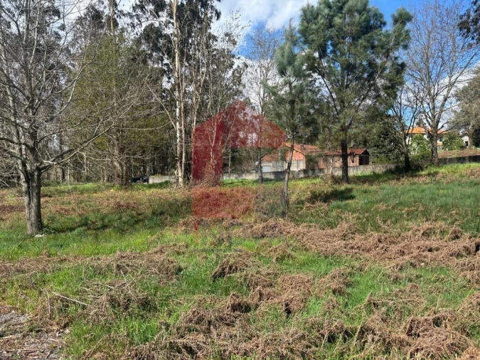 Terreno para Venda em Moure Foto 7