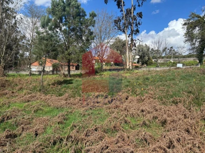 Terreno para Venda em Moure Foto 12