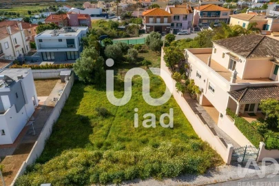 Terreno para Venda em Montenegro