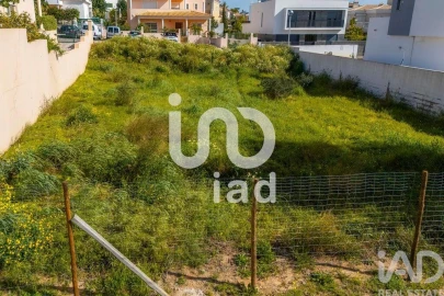 Terreno para Venda em Montenegro