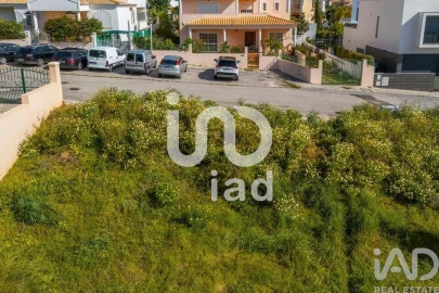 Terreno para Venda em Montenegro