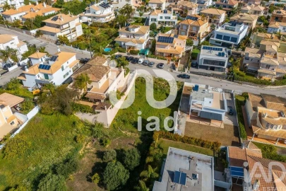 Terreno para Venda em Montenegro