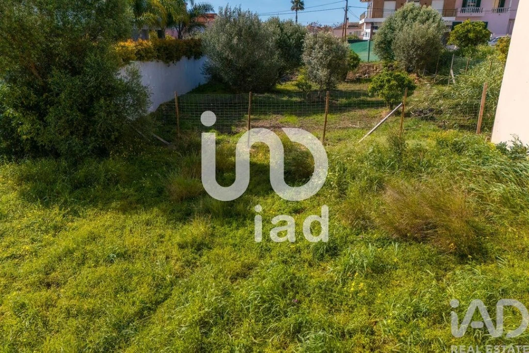 Terreno para Venda em Montenegro Foto 17