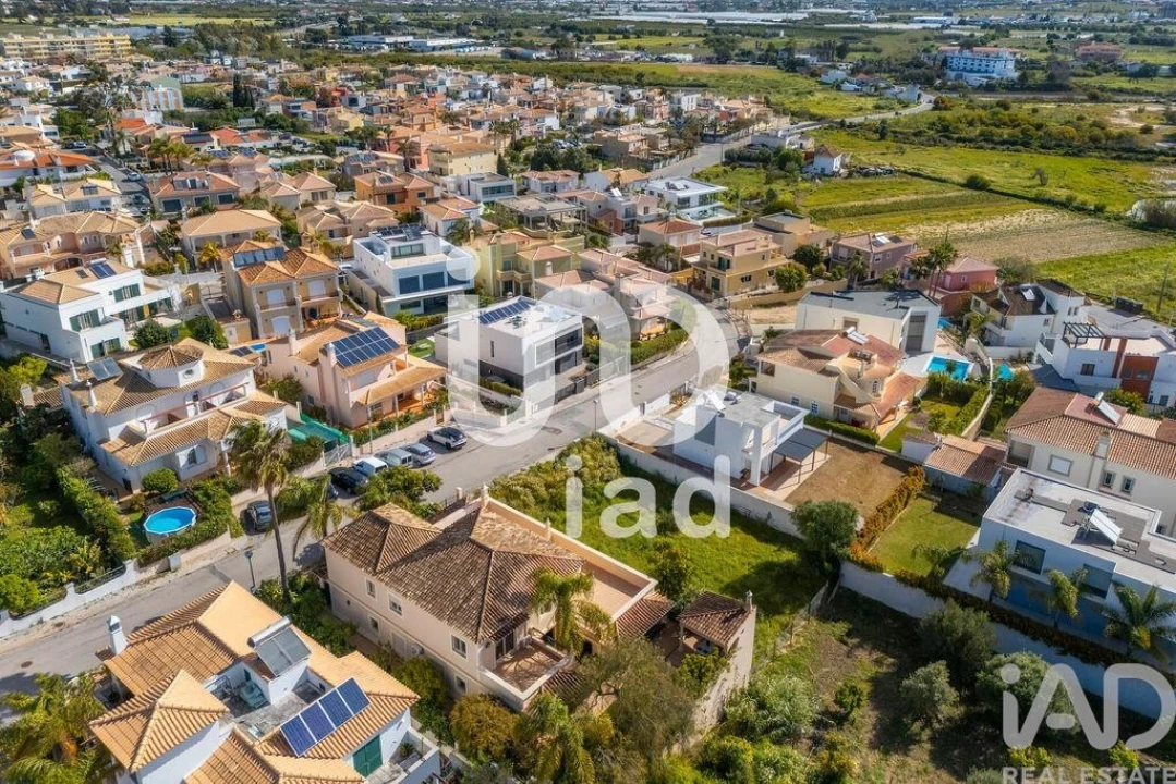 Terreno para Venda em Montenegro Foto 7