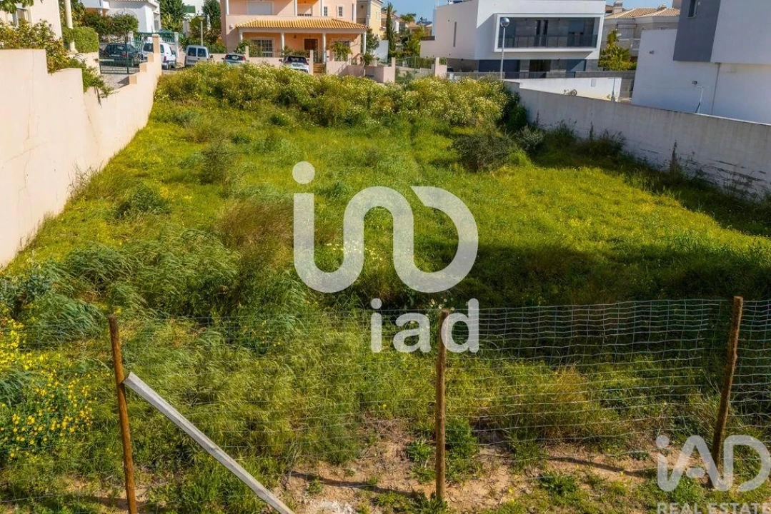 Terreno para Venda em Montenegro Foto 15