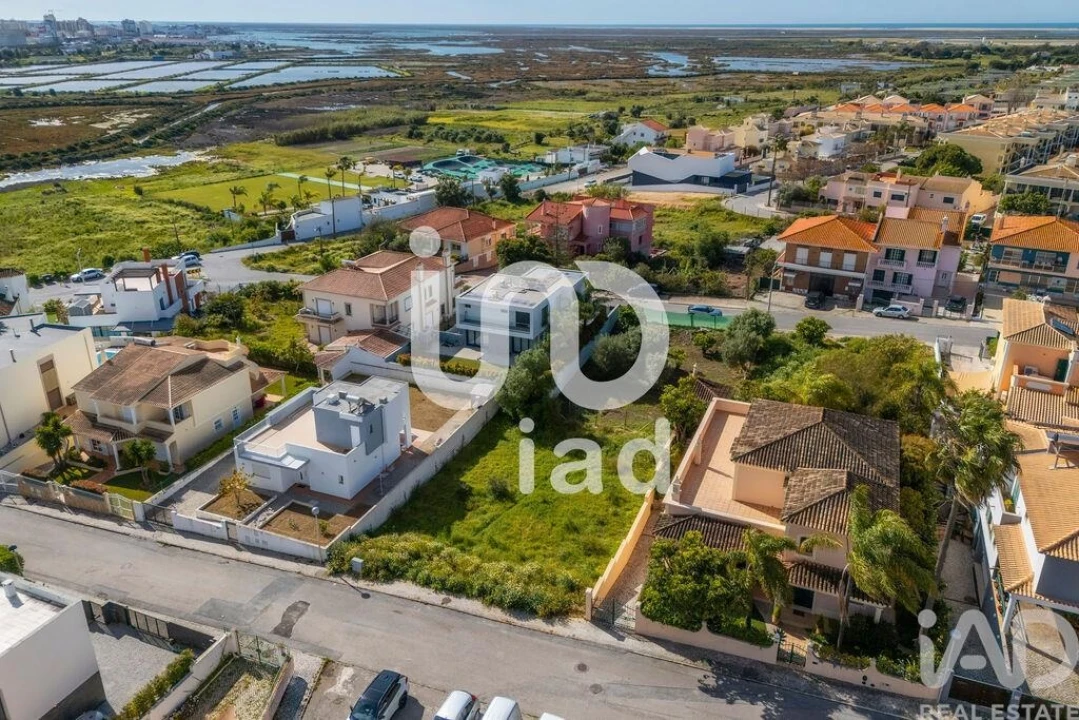 Terreno para Venda em Montenegro Foto 3