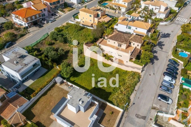 Terreno para Venda em Montenegro Foto 12