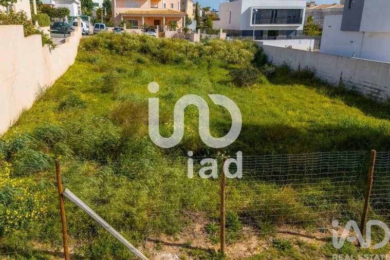 Terreno para Venda em Montenegro Foto 15